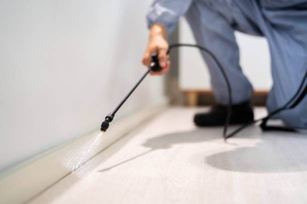 Licensed Exterminator service in West Bishop, CA - Show Me Pest Control